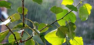 Синоптики дали прогноз на перший день травня в Україні