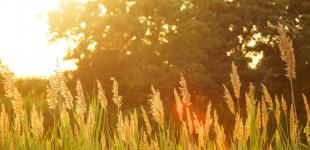 Прогноз погоди на вихідні 27–28 серпня: останній літній вікенд буде дуже спекотним