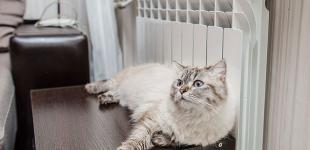 В Киеве школам и детсадам начали включать отопление