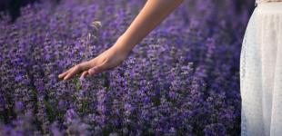 День апостолів Петра і Павла: що суворо заборонено робити у велике свято