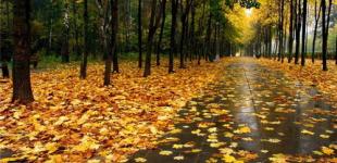 Дощі повертаються: синоптик дав прогноз погоди на найближчий тиждень