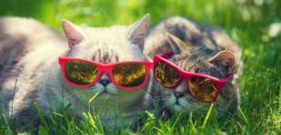 У середу в Україну увірветься потепління з дощами: де знадобиться парасолька