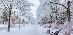 Прогноз погоди на вихідні 14–15 грудня: морози не затримаються