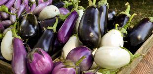 Что нужно знать, покупая баклажаны