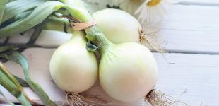 Закладаємось, що ви не знали, наскільки корисна ріпчаста цибуля