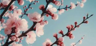 До України йде різке похолодання: дата і карта погоди