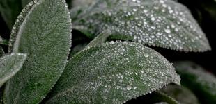 Гороскоп на 25 травня для всіх знаків зодіаку: день, коли не можна поспішати