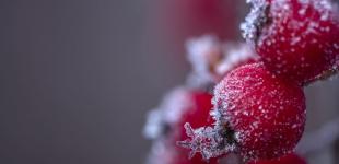 Гороскоп на 20 листопада для всіх знаків зодіаку: день, коли потрібно бути готовими до будь-яких несподіванок