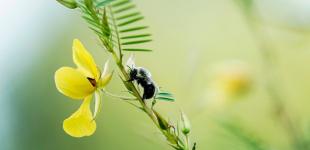 Що зірки нам пророкують: гороскоп на 28 липня – 3 серпня 2025 року