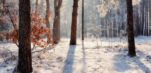 Україну скують люті морози: стовпчики термометрів впадуть нижче -20