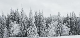 Прогноз погоди в Україні на 15 січня: хмарно, ожеледиця, подекуди до мінус 10° морозу