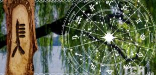 Кельтський гороскоп дерев на 3 серпня 2025 року: Дівам — натхнення, Стрільцям — гармонія