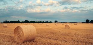 Спека, а потім заморозки: синоптики шокували прогнозом погоди на серпень