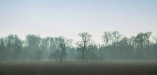 Гороскоп на 22 листопада для всіх знаків зодіаку: день, коли мрії стануть дійсністю