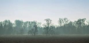 Гороскоп на 24 листопада для всіх знаків зодіаку: дні, коли агресія витатиме в повітрі