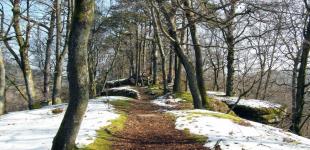 Якою буде погода в Україні 22 січня: прогноз синоптикині