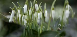 Чи очікувати повернення морозів: прогноз Укргідрометцентру