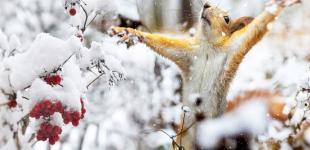 Ексклюзивний прогноз погоди на січень: середина зими буде непростою