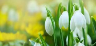 Якою буде погода 21 березня: прогноз синоптикині