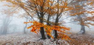 Україну накриють дощі зі снігом: синоптики дали прогноз на початок тижня і попередили про небезпеку