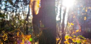 Вихідні в Україні будуть теплі, але ночі вже нагадають про осінь