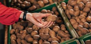 Чому в Україні не дешевшає картопля: відповідь експерта