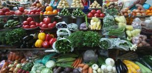 В Україні переписали ціни на популярні овочі: що і скільки зараз коштує