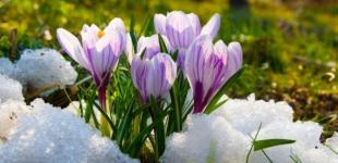 Київщину 5 лютого охопить буревій: синоптики дали тривожний прогноз