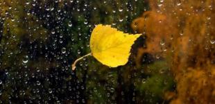 Україну штормитиме циклон Аннет — Діденко попередила, де будуть зливи і коли похолодає