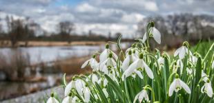 До України йде потепління: синоптик дала новий прогноз