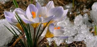 Погода знайде чим здивувати: яким в Україні буде кінець лютого