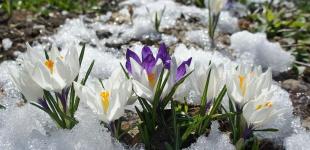 Дощі і мокрий сніг: лютий прийде в Україну з новою порцією опадів