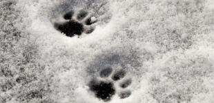 Кому загрожує 