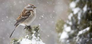 На вихідних на українців чекає різка зміна погоди