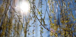 Розігріє аж до +26°: синоптик розказав, де в Україні буде найтепліше