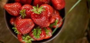 Ціни на полуницю в Україні зросли до 