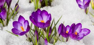 Синоптики прогнозують до +16 градусів: у яких регіонах буде найтепліше