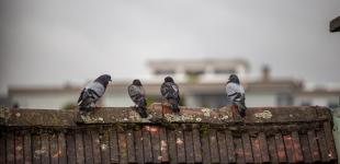 У середині тижня в Україні стане ще холодніше 