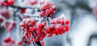 Зручний вікенд. Синоптик повідомив про м’яку зиму протягом вихідних з невеликим морозом і мокрим снігом