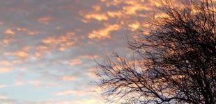 Спочатку +14, а потім мороз: синоптикиня розповіла про погоду на початку року