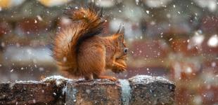 Похолодання в Україні: синоптик розказав, де температура впаде до 