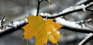 Якою буде погода в Україні на День Миколая: прогноз синоптикині Діденко