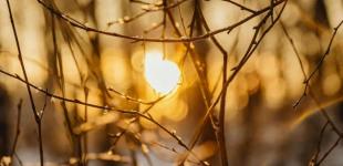 Синоптикиня Діденко попередила про температурні контрасти 17 січня: що буде з погодою