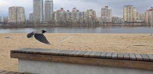 Де в Києві найдешевші 