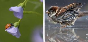Де в понеділок буде сонячно, а де - дощитиме: синоптикиня розкрила деталі