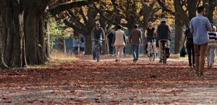 Україна стане однією з найтепліших країн Європи: прогноз від Діденко