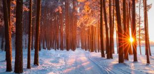 Гороскоп на 30 грудня для всіх знаків зодіаку: день підбиття підсумків