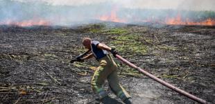 Чи впливають бойові дії в Україні на зміни клімату: відповідь синоптиків