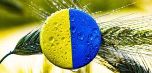 ЄС припинив торговельний безвіз з Україною: що це означає та як вплине на економіку