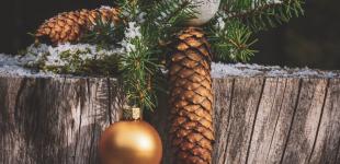 Свято Маланки та Щедра кутя: дата за новим календарем, історія та традиції